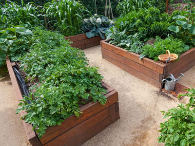 Kitchen Garden Corner
