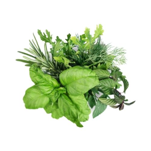 Herb Plants Mix