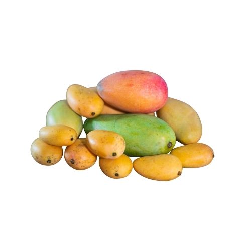 Premium Mango Varieties
