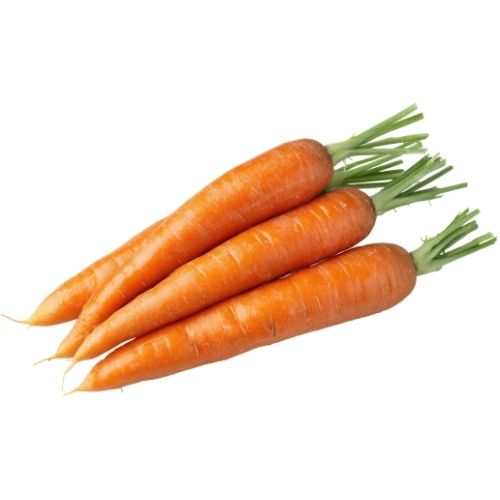 Organic Carrot