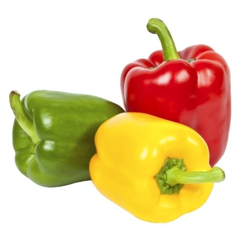 Organic Capsicum