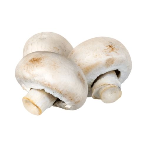Wild Mushroom Seasonal