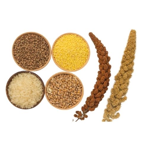 Roasted Millets Snack