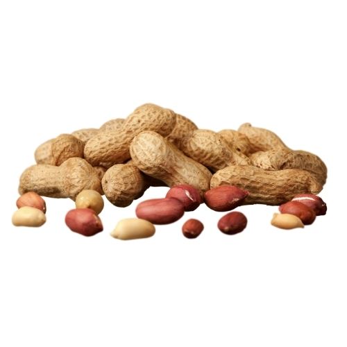 Groundnuts Raw