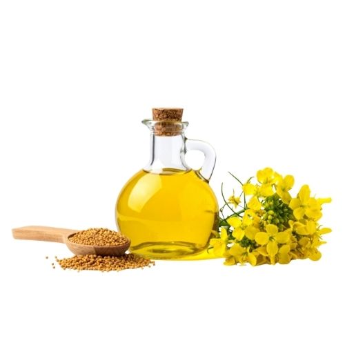 Cold-Pressed Sesame Oil