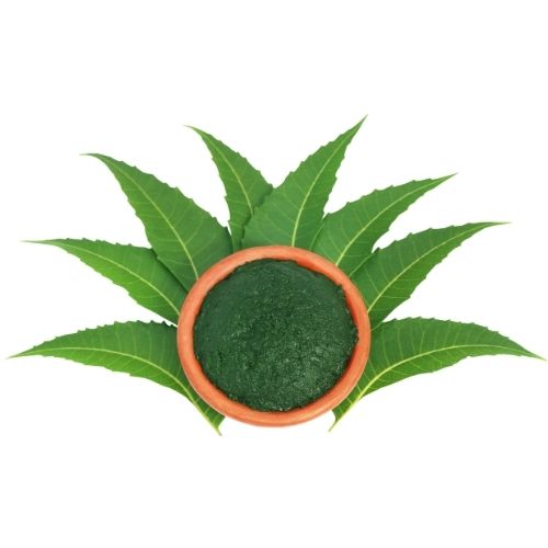 Neem Powder